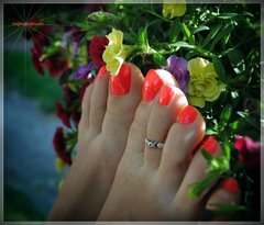 flowers #18