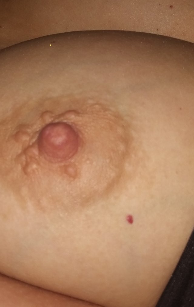 Zepsucipl