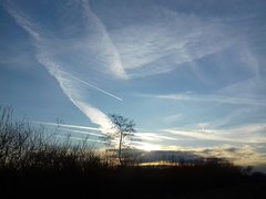 20200116_190051.jpg