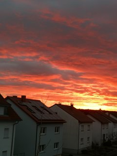 IMG_20200110_081449.jpg