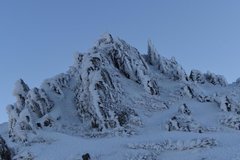IMG-20200121-WA0021.jpg