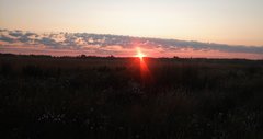 IMG_20190719_045239~2.jpg