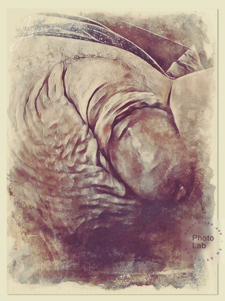 496eb31a-ea06-422c-a5ee-2ca6e3f96723.jpg - dino8