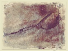 764414ad-e160-487e-a8ce-ae7f985dce68.jpg