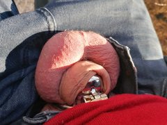 IMG_20200124_134954.jpg