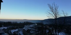 IMG_20200125_155448.jpg