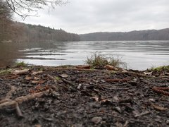 IMG_20190331_121811.jpg