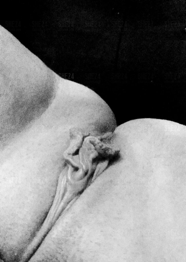 She24