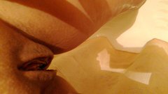 P_20150716_090003_001.jpg