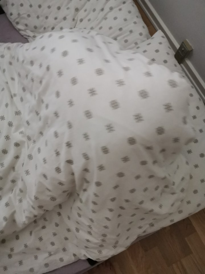 15807220362916820223888482766100.jpg - Voresfraekkeliv