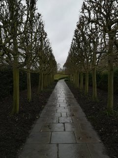 IMG_20200130_161304.jpg