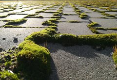 IMG_20200203_165033.jpg