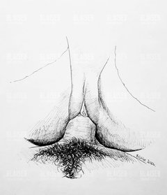 Art no. 8
