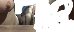 2FC4943A-2712-4C83-BAEA-BE57CF7B9172.jpeg