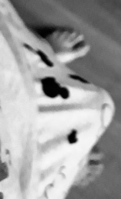 20200208_170319.jpg