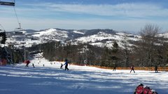 IMG_20200209_122355.jpg
