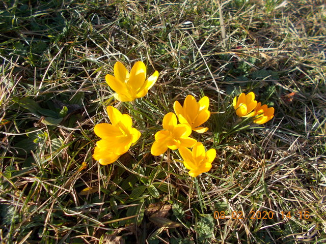 TerazRazem