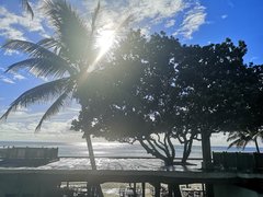 IMG_20191110_074937.jpg