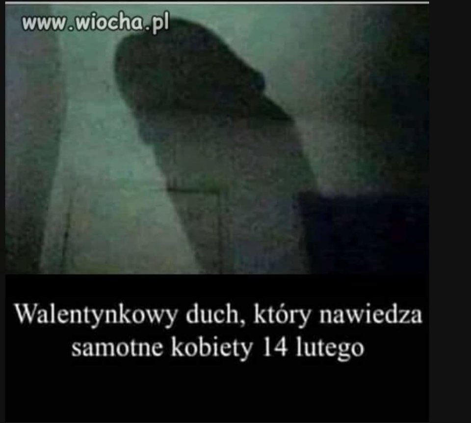 received_195432271861414.jpeg - psotniki4145