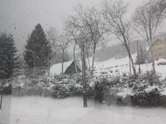20200212_095926.jpg