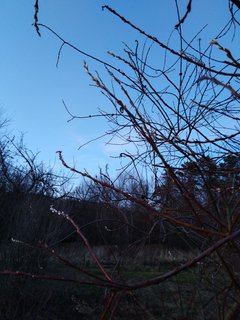 IMG_20200215_163428.jpg