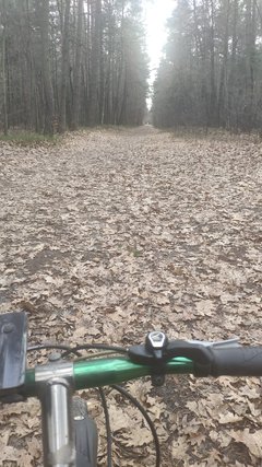 IMG_20200216_131746.jpg