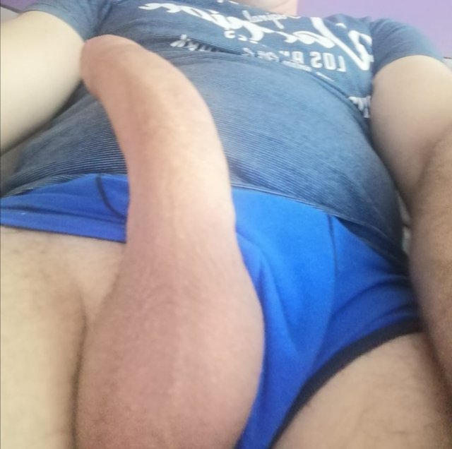 Mysz210193