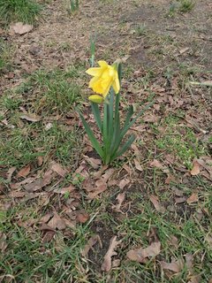 IMG_20200219_123359.jpg