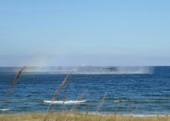 20150910_152410-1-1-1.jpg