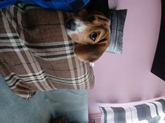 20200209_123616.jpg