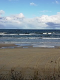 IMG_20191030_102632_1.jpg