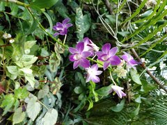 20200214_140916.jpg