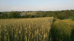 IMG_20190612_191545.jpg