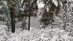 IMG_20191127_095407_1.jpg