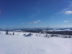 20200215_133250.jpg