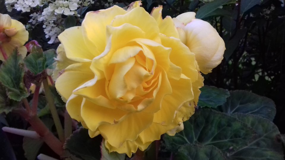 20190719_205632.jpg - best_frend