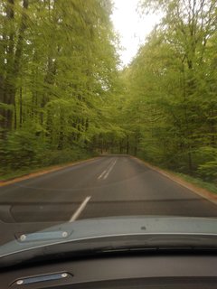 IMG_20190502_095346.jpg