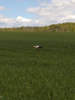 IMG_20190505_134846.jpg
