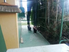 IMG_20200301_152740.jpg