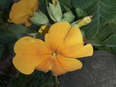 20200301_152023.jpg