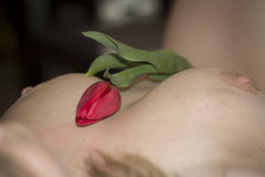 IMG_2364_2.jpg