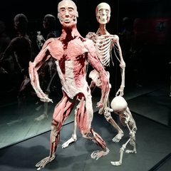 IMG_20190528_154044.jpg
