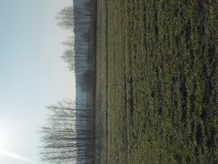 IMG_20200305_075929.jpg