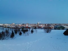 20200306_074804.jpg