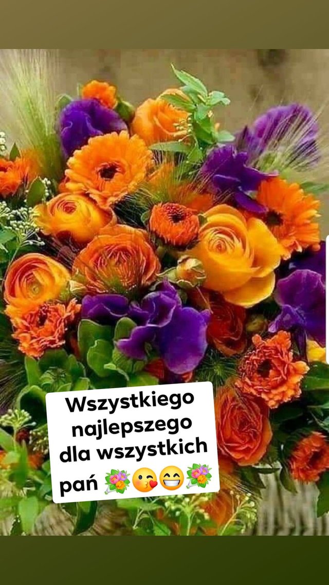 Nietoperek82