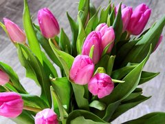 flower-2111554_640.jpg