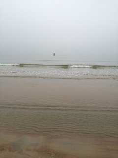 IMG_20200307_163815.jpg
