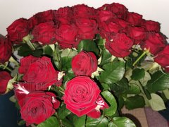IMG_20200308_211534.jpg