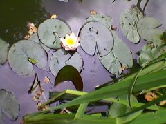 SP_A0058.jpg