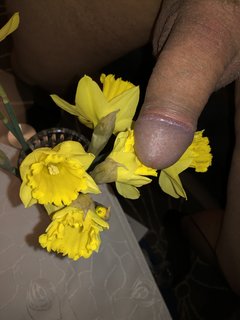 IMG_7533.JPEG